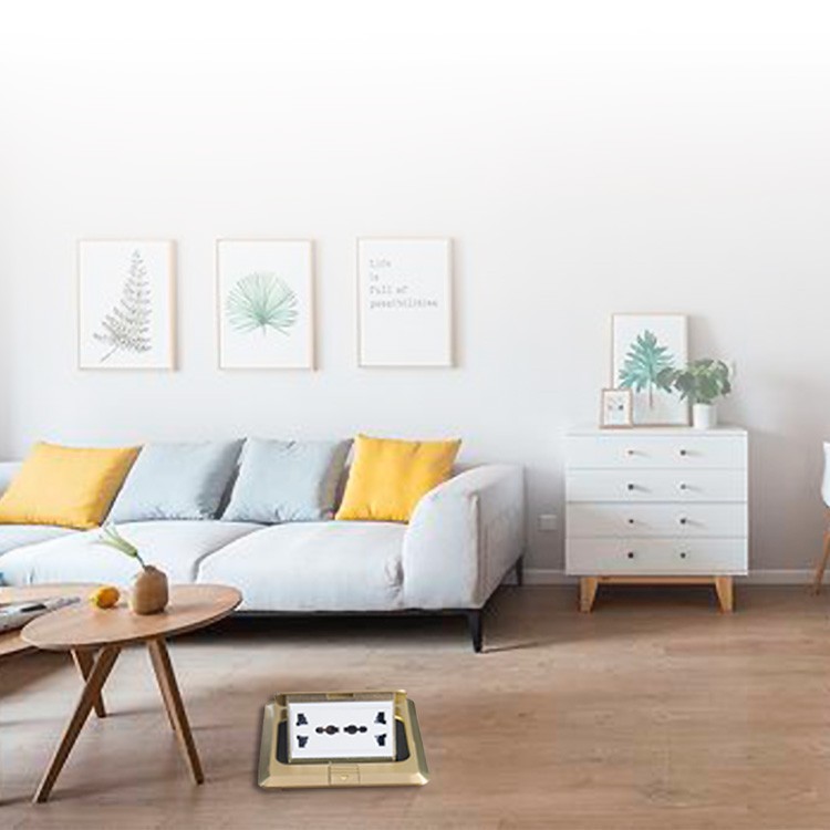 Damping Soft Close Floor Socket factory